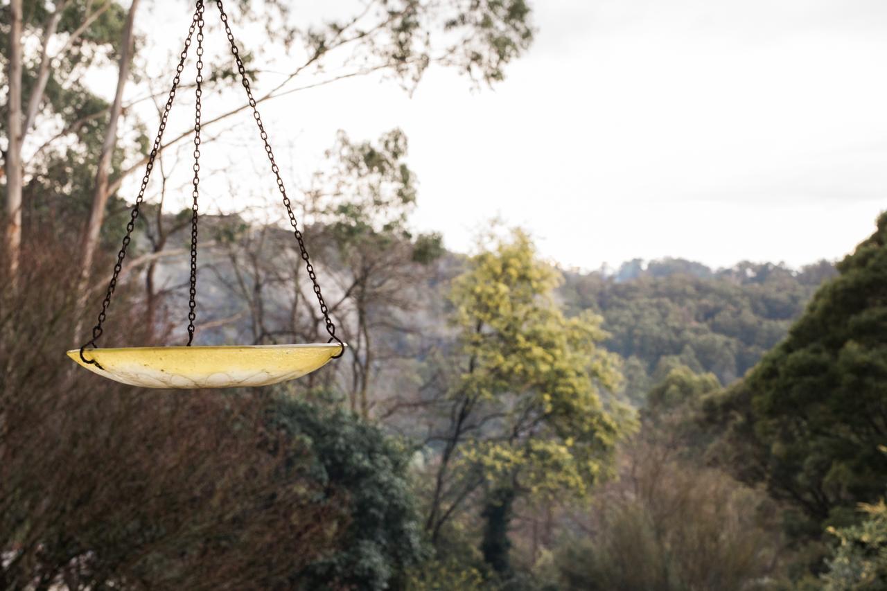 Rustic Refuge Guesthouse Kalorama Exterior photo